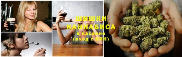 Альфа ПВП Аркадак