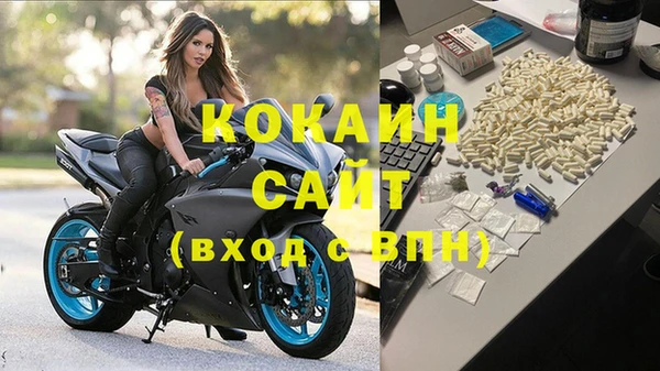 Альфа ПВП Аркадак