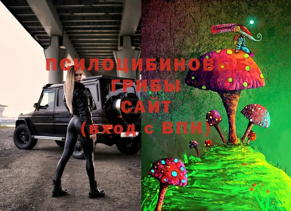 винт Алексин