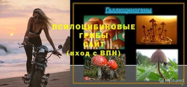 Альфа ПВП Аркадак