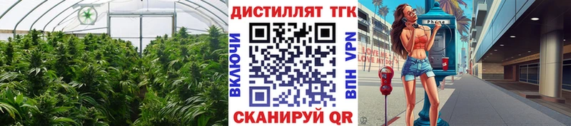 ТГК Wax  наркошоп  OMG ONION  Уссурийск 