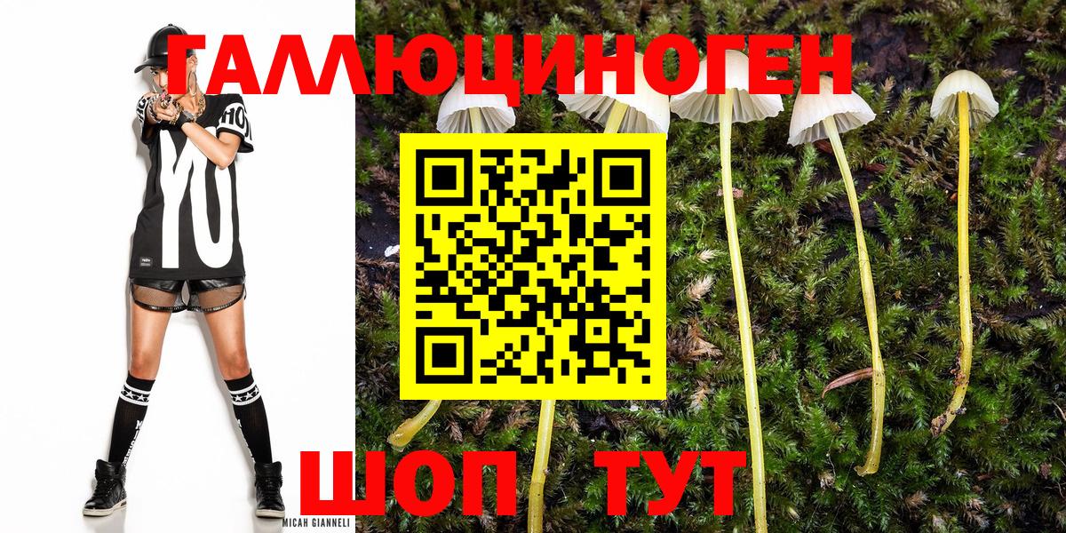 Псилоцибиновые грибы MAGIC MUSHROOMS Уссурийск