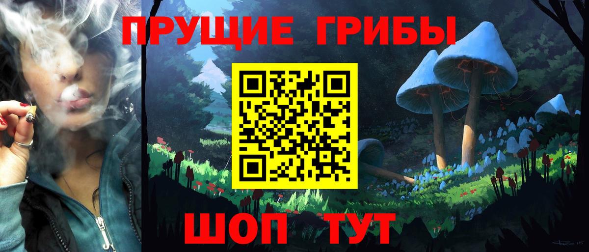 Галлюциногенные грибы Psilocybine cubensis  Галлюциногенные грибы Cubensis  Вход с VPN  Уссурийск 
